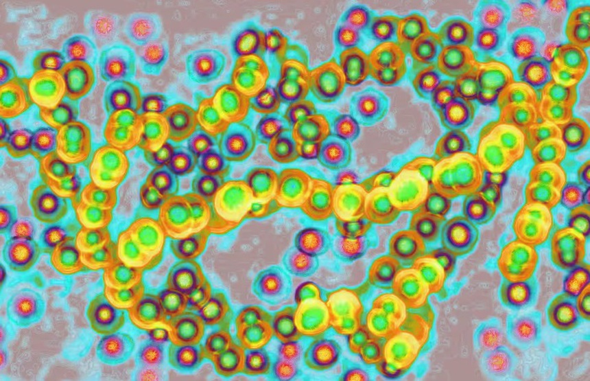 Các ca nhiễm liên cầu khuẩn tăng lên mức cao kỷ lục tại Nhật Bản  - Ảnh 1.