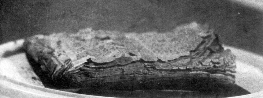 Khám phá Crosby-Schoyen, cuốn sách cổ trị giá 3 triệu bảng Anh - Ảnh 6.