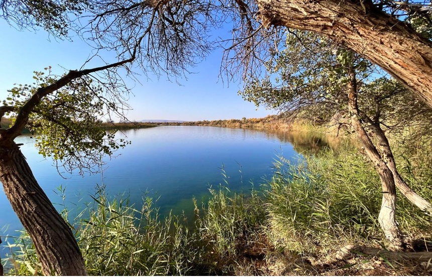 Khám phá Trung Á: Hành trình đầy màu sắc qua 5 quốc gia - Ảnh 12.