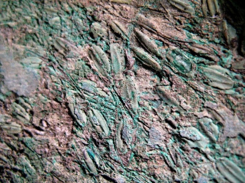 Cái ăn của người Đông Sơn (kỳ 4): Cơm xôi Đông Sơn - Ảnh 1. Cái ăn của người Đông Sơn (kỳ 4): Cơm xôi Đông Sơn - Ảnh 1.