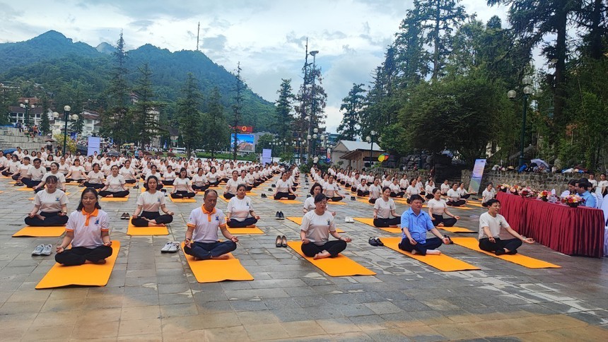Khởi động tour du lịch Yoga tại Sa Pa năm 2024 - Ảnh 1.