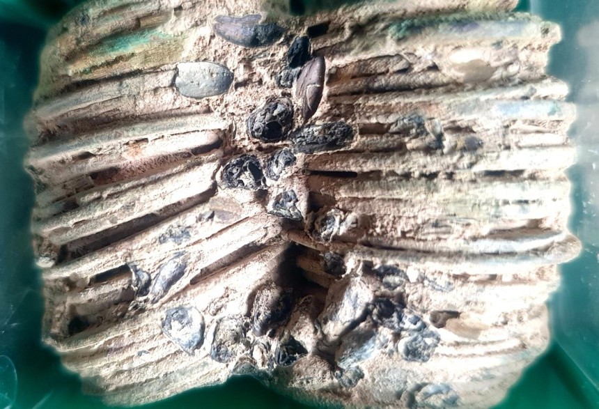 Cái ăn của người Đông Sơn (kỳ 5): "Cơm Đông Sơn" với những hạt khác lúa và những món khác cơm - Ảnh 1. Cái ăn của người Đông Sơn (kỳ 5): "Cơm Đông Sơn" với những hạt khác lúa và những món khác cơm - Ảnh 1.