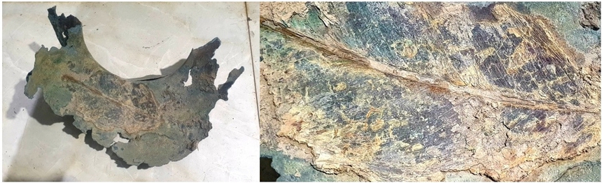 Cái ăn của người Đông Sơn (kỳ 5): "Cơm Đông Sơn" với những hạt khác lúa và những món khác cơm - Ảnh 5. Cái ăn của người Đông Sơn (kỳ 5): "Cơm Đông Sơn" với những hạt khác lúa và những món khác cơm - Ảnh 5.