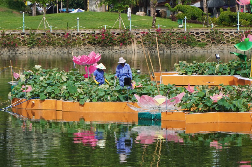 Tạo hình bản đồ Việt Nam từ 5.000 chậu hoa sen ở Đồng Tháp - Ảnh 5.