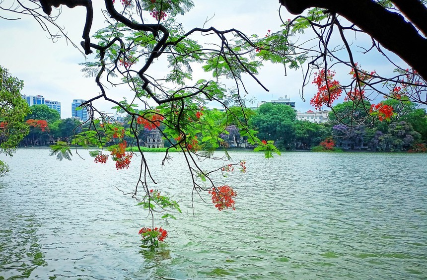 Ngày Môi trường Thế giới (5/6): Chung tay hành động vì Hà Nội xanh - Ảnh 3.