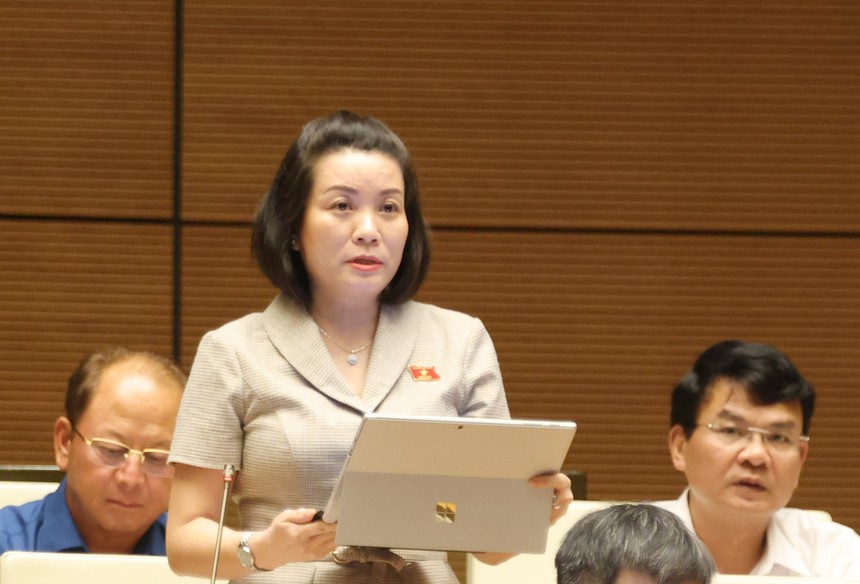 Kỳ họp thứ 7, Quốc hội khóa XV: Để sản phẩm du lịch đêm tránh đơn điệu và thành công hơn - Ảnh 4.