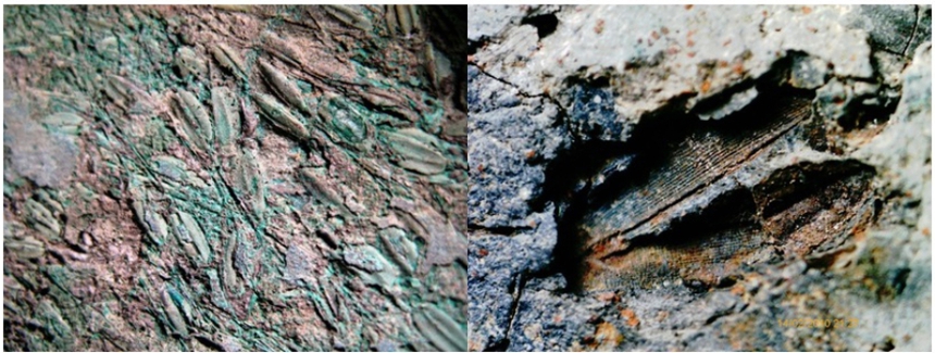 Cái ăn của người Đông Sơn (kỳ 2): Những 'làng lúa' thời Đông Sơn - Ảnh 5. Cái ăn của người Đông Sơn (kỳ 2): Những 'làng lúa' thời Đông Sơn - Ảnh 5.