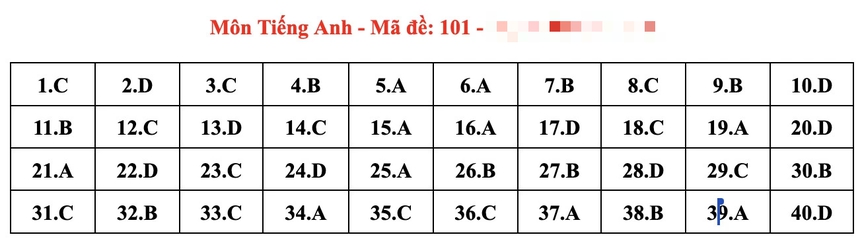 Đáp án đầy đủ đề thi tiếng Anh vào 10 Hà Nội năm 2024 - Ảnh 5.