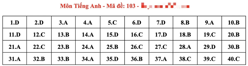 Đáp án đầy đủ đề thi tiếng Anh vào 10 Hà Nội năm 2024 - Ảnh 7.