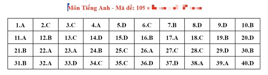 Đáp án đầy đủ đề thi tiếng Anh vào 10 Hà Nội năm 2024 - Ảnh 13.