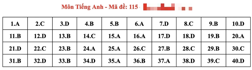 Đáp án đầy đủ đề thi tiếng Anh vào 10 Hà Nội năm 2024 - Ảnh 19.