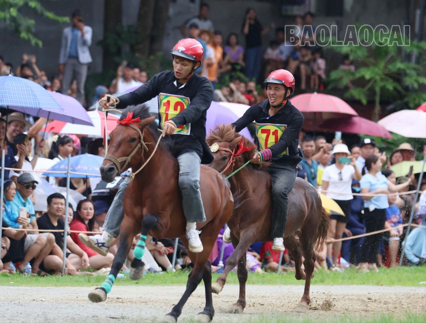 Hấp dẫn Giải đua ngựa truyền thống trên cao nguyên Bắc Hà - Ảnh 1.