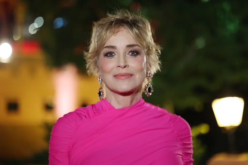 Sharon Stone không còn đồng nào sau cơn đột quỵ năm 2001 - Ảnh 2.
