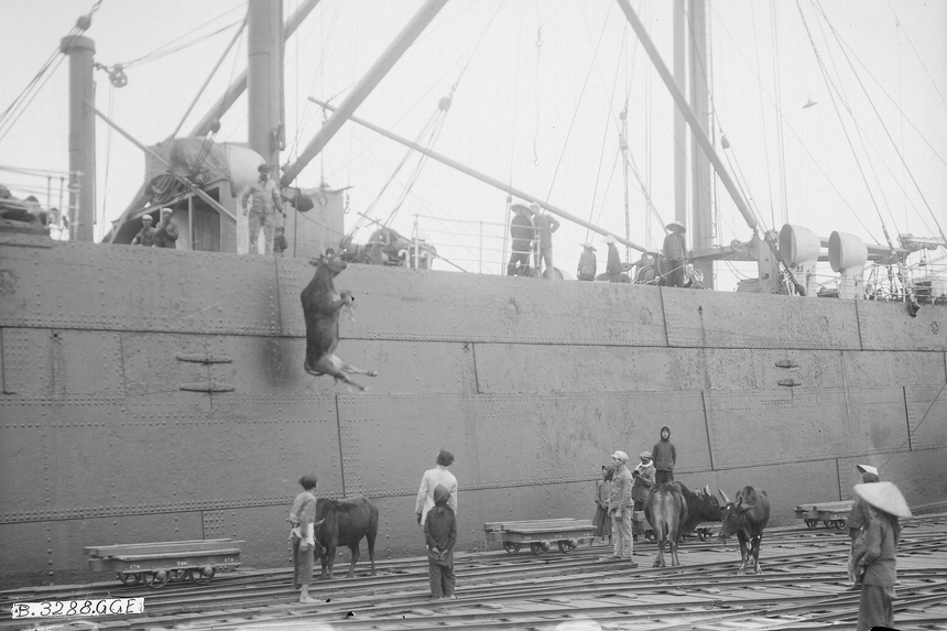 Cuộc sống sau ống kính: Tạm biệt cảng lâu đời nhất Hải Phòng! - Ảnh 2.