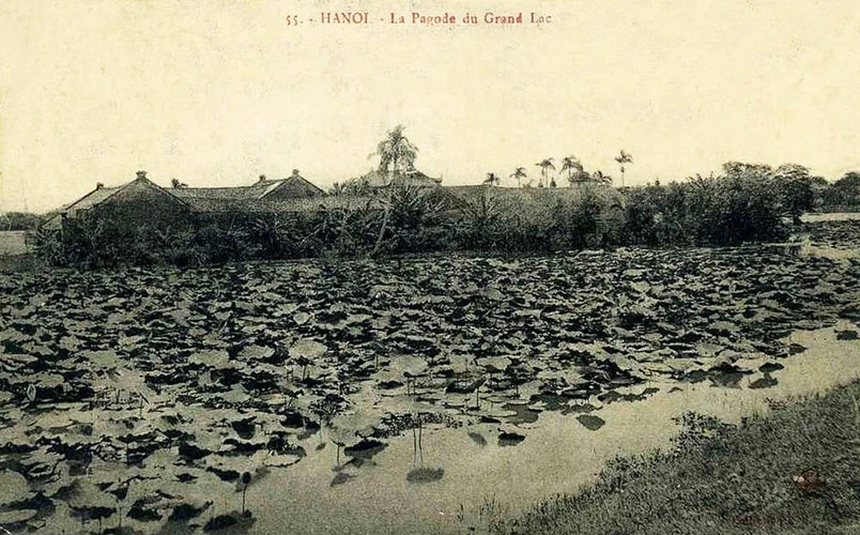 Nâng tầm giá trị sen Hà Nội (kỳ 2): Tinh tế và mong manh như trà sen Tây Hồ - Ảnh 2.