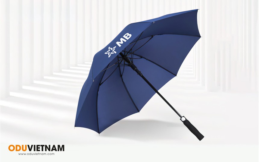 Ô dù Việt Nam – Niềm tự hào thương hiệu ô dù Việt - Ảnh 2. Ô dù Việt Nam – Niềm tự hào thương hiệu ô dù Việt - Ảnh 2.