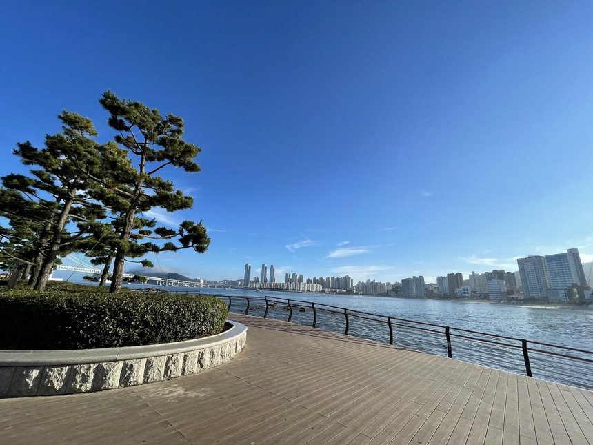 Đà Nẵng có thể trở thành một trung tâm điện ảnh? - Ảnh 4. Đà Nẵng có thể trở thành một trung tâm điện ảnh? - Ảnh 4.