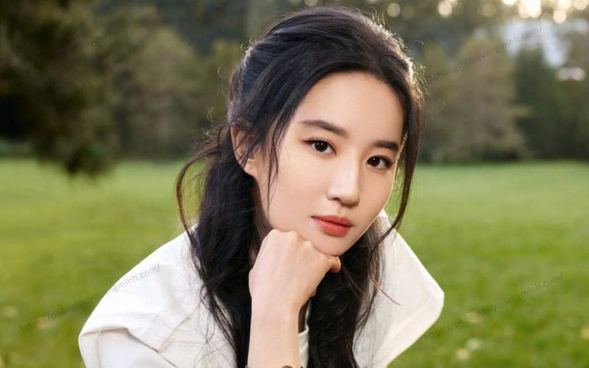 3 người đàn ông quyền lực đằng sau bóng hình nữ hoàng phim ảnh Lưu Diệc Phi - Ảnh 1. 3 người đàn ông quyền lực đằng sau bóng hình nữ hoàng phim ảnh Lưu Diệc Phi - Ảnh 1.