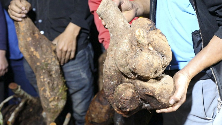 Năm Du lịch Quốc gia 2024: Độc đáo chợ đêm vùng cao Tủa Chùa - Ảnh 4.