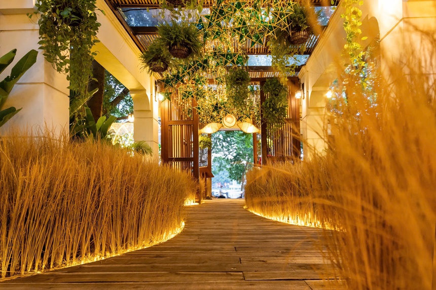 "Thu vàng trong vườn phố": Cánh đồng lúa chín đặc biệt ở giữa Hà Nội mùa Trung thu - Ảnh 1.