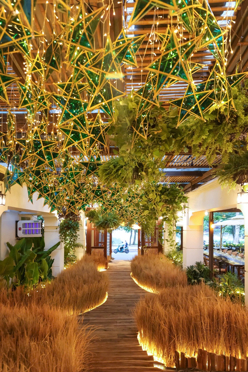 "Thu vàng trong vườn phố": Cánh đồng lúa chín đặc biệt ở giữa Hà Nội mùa Trung thu - Ảnh 4.