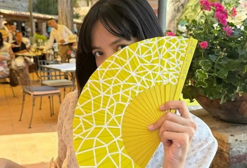 Lisa Blackpink khiến fan choáng váng với giá của chiếc quạt sang chảnh đắt hơn cả máy điều hòa - Ảnh 4.