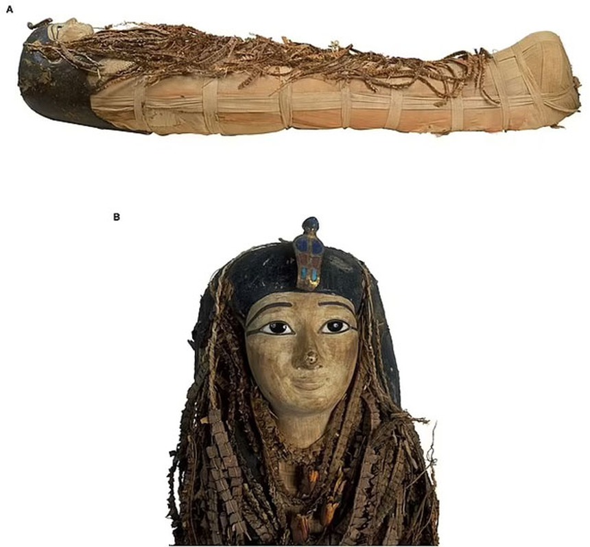 Tái tạo khuôn mặt Amenhotep I - Pharaoh Ai Cập 3.500 năm tuổi đã sáng lập "Thung lũng các vị Vua" - Ảnh 6. Tái tạo khuôn mặt Amenhotep I - Pharaoh Ai Cập 3.500 năm tuổi đã sáng lập "Thung lũng các vị Vua" - Ảnh 6.