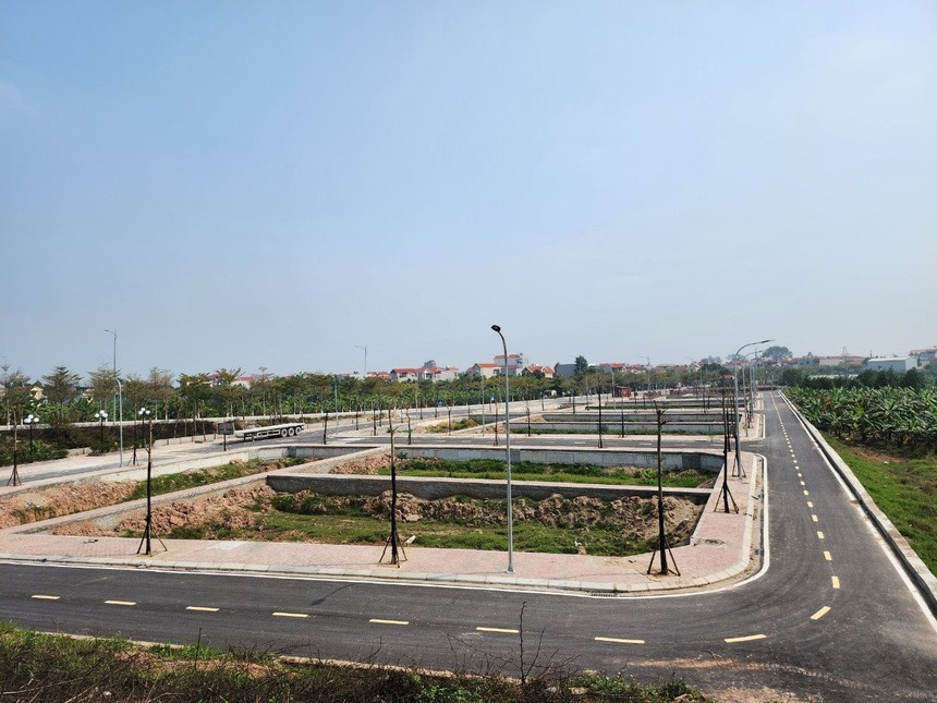 Đấu giá đất - Bài 2: "Tường lửa" ngăn nhiễu loạn - Ảnh 2.