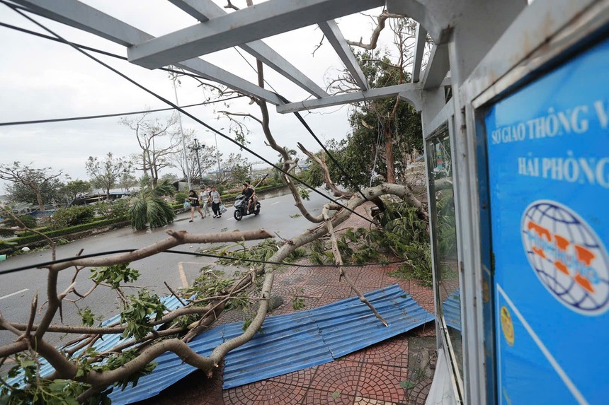 Nhìn lại siêu bão YAGI với những giải pháp lâu dài - Bài 1: Những bài toán cân não - Ảnh 3.