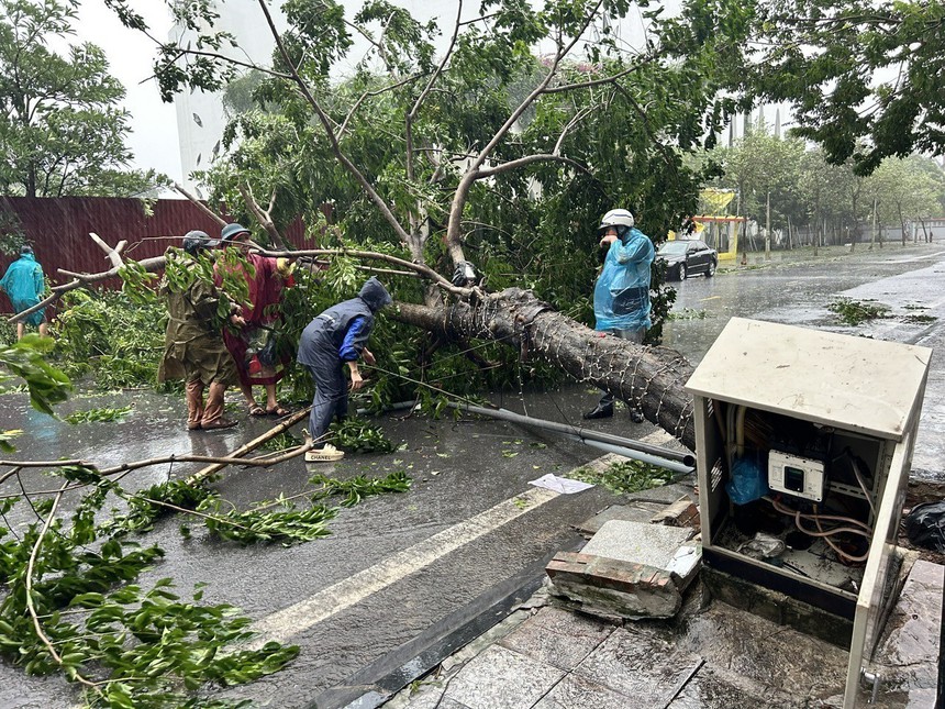 Nhìn lại siêu bão YAGI với những giải pháp lâu dài - Bài cuối: Bài học ứng phó với thiên tai - Ảnh 2. Nhìn lại siêu bão YAGI với những giải pháp lâu dài - Bài cuối: Bài học ứng phó với thiên tai - Ảnh 2.