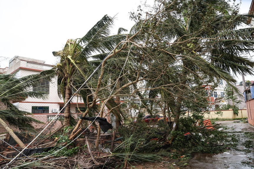 Nhìn lại siêu bão YAGI với những giải pháp lâu dài - Bài 1: Những bài toán cân não - Ảnh 2.