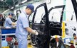 Toyota Việt Nam viết tiếp tương lai di chuyển toàn diện và bền vững