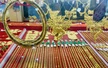 Thủ tướng chỉ đạo triển khai các biện pháp quản lý hiệu quả thị trường vàng