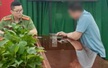 Xử lý đối tượng đăng tải thông tin xuyên tạc, sai sự thật về lễ diễu binh