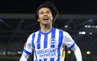 Nhận định, soi tỷ lệ Brighton vs Newcastle 20h00 ngày 04/5, Vòng 35 Premier League