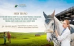 Học viện Cưỡi Ngựa Vinpearl Vũ Yên tổ chức Hội thảo chuyên sâu hàng đầu về ngựa