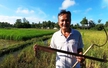 Chữ và nghĩa: "Phảng đâu, cù nèo đó"