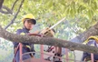 Bộ Nông nghiệp và Môi trường yêu cầu chủ động ứng phó thiên tai