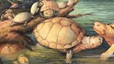 Phát hiện hóa thạch rùa khổng lồ niên đại 57 triệu năm trước đây ở Colombia