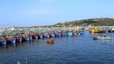 Hải Phòng kích hoạt phương án ứng phó mưa lũ, sạt lở do bão