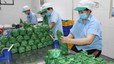 Tại sao hộ kinh doanh nên chủ động lên doanh nghiệp?