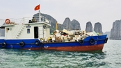 Hạ Long ra quân thu gom phao xốp trên Vịnh Di sản​
