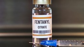 Cảnh báo về loại ma túy cực độc fentanyl, gấp 50 lần so với heroine