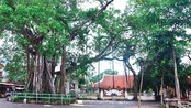 Hà Nội xếp hạng 9 di tích lịch sử - văn hóa và danh lam thắng cảnh