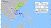 Dự báo thời tiết ngày 12/6: Vùng gần tâm bão gió mạnh cấp 8-9, giật cấp 11