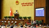 Kỳ họp thứ 9, Quốc hội khóa XV: Quốc hội xem xét công tác nhân sự