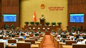 Kỳ họp thứ 9, Quốc hội khóa XV: Chính thức bỏ 8 tội danh có hình phạt tử hình