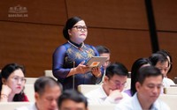Đại biểu Quốc hội đề xuất mô hình phát triển đô thị di sản bền vững