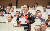 Đại biểu Quốc hội đề xuất lập Quỹ bảo tồn di sản có nguy cơ mai một