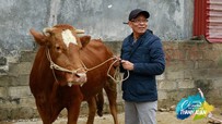 Thử thách khó ở 'Có hẹn với thanh xuân': Nghệ sĩ Kim Tử Long 'ra tay' giúp MC Lại Văn Sâm 